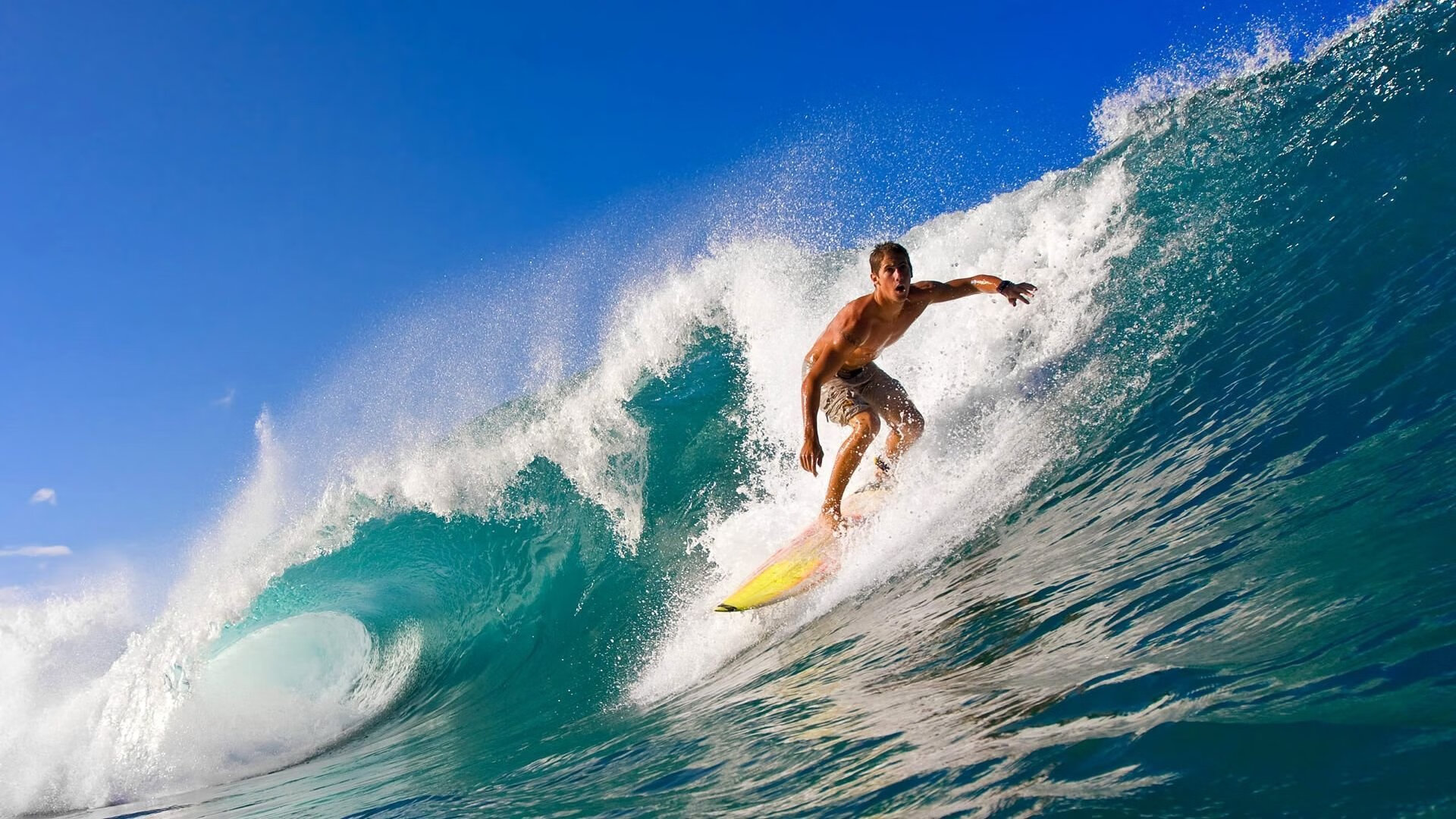 快乐篮球:运动带来的快乐与成就感,快乐篮球简介